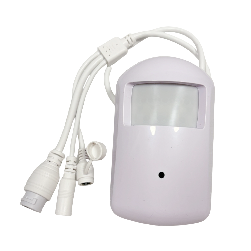 Mini cámara WiFi con detección - Smart Home Wiser reseña y precio