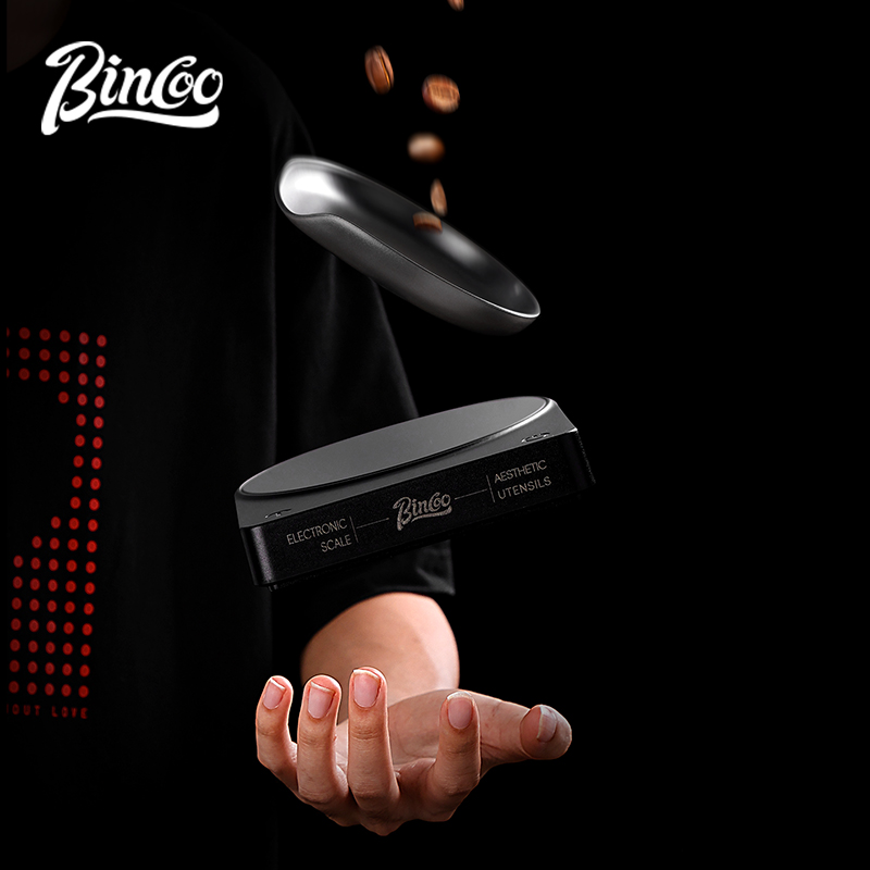 BINCOO-báscula Digital de café - Smart Home Miniature reseña y precio