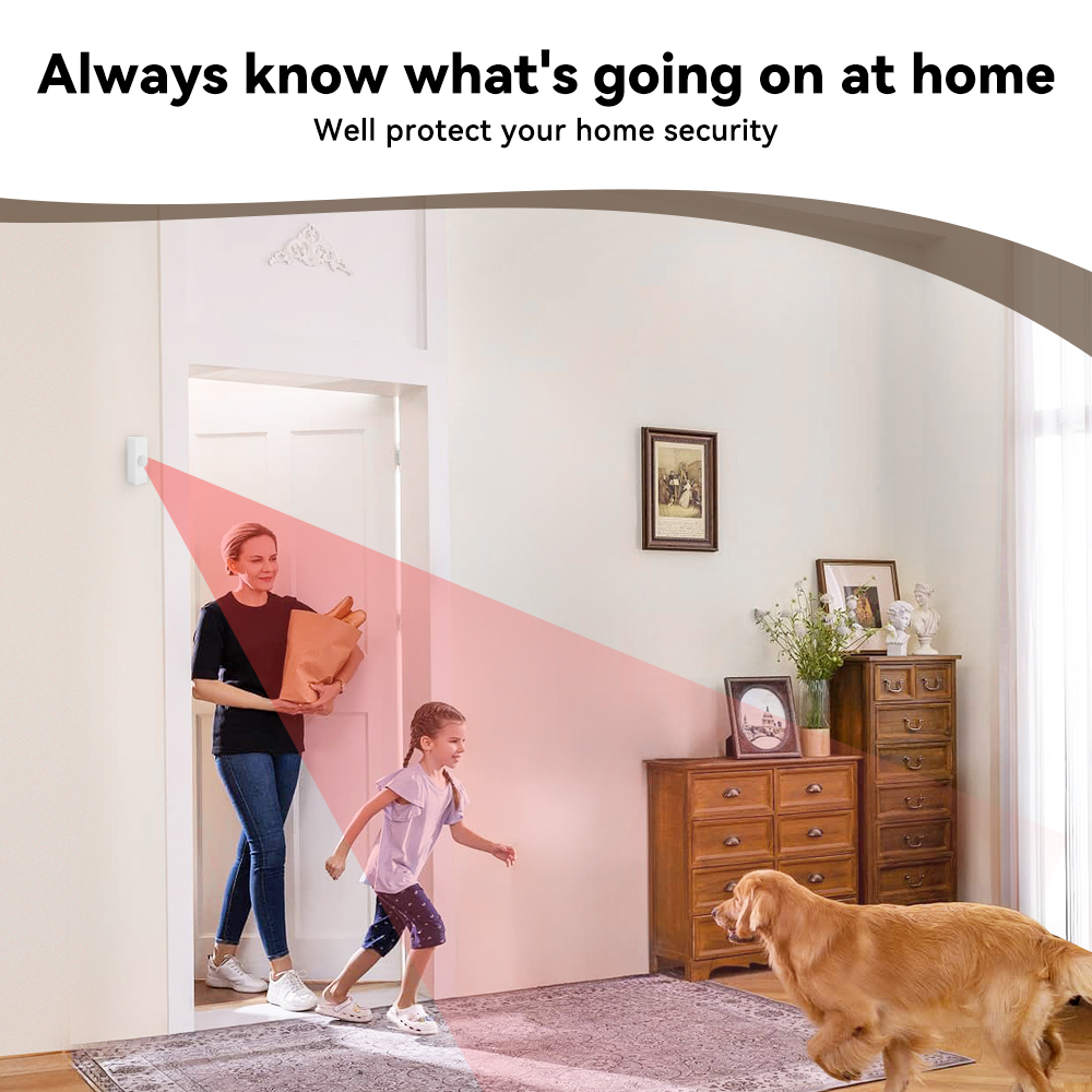 Sensor de Movimiento PIR Intel - Smart Home Wiser reseña y precio